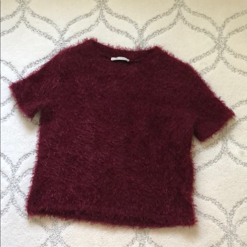 Fuzzy Zara Crop